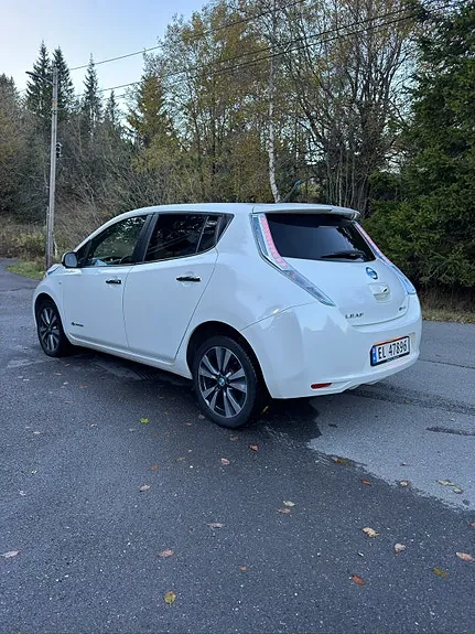 Nissan Leaf 2014 photo 4