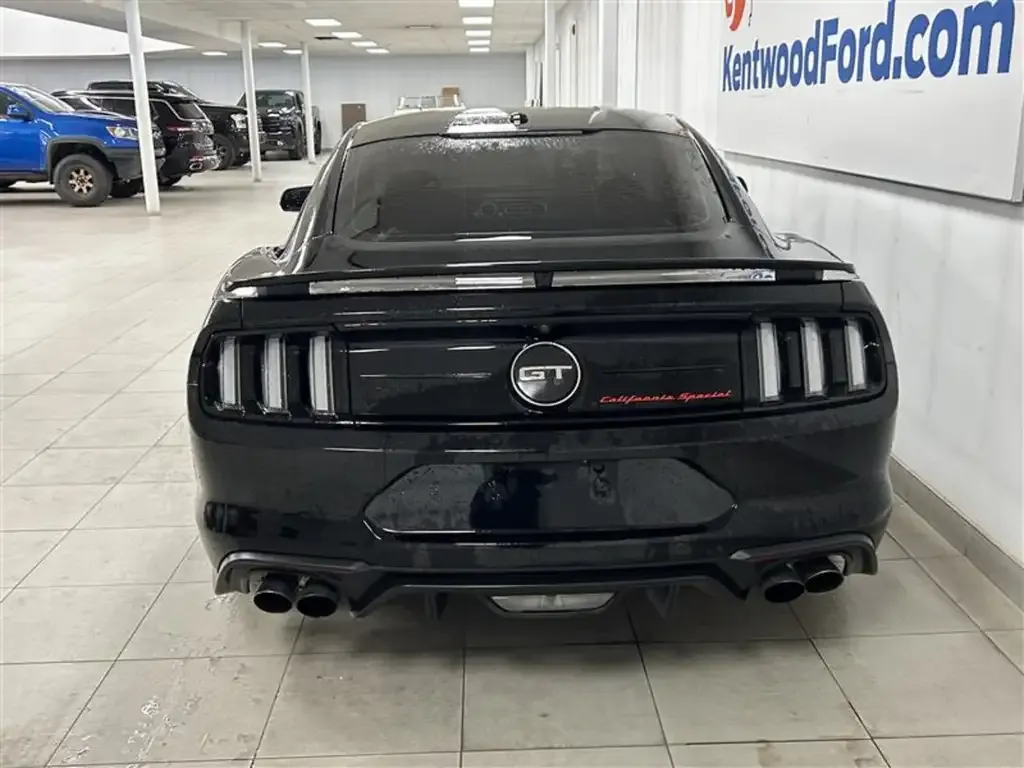 Ford Mustang 2019 photo 5