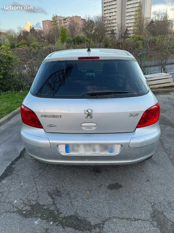 Peugeot 307 2007 photo 2