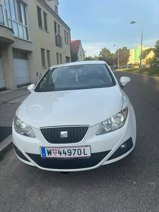 Seat Ibiza 2009 photo 2