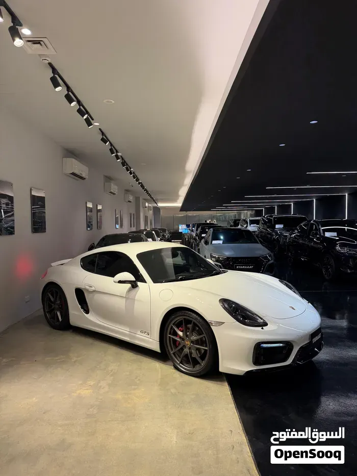 Porsche Cayman Gts 2015 photo 3