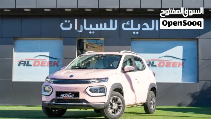 Dongfeng Ex1