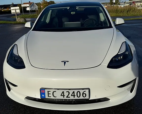 Tesla Model 3 2021 photo 2