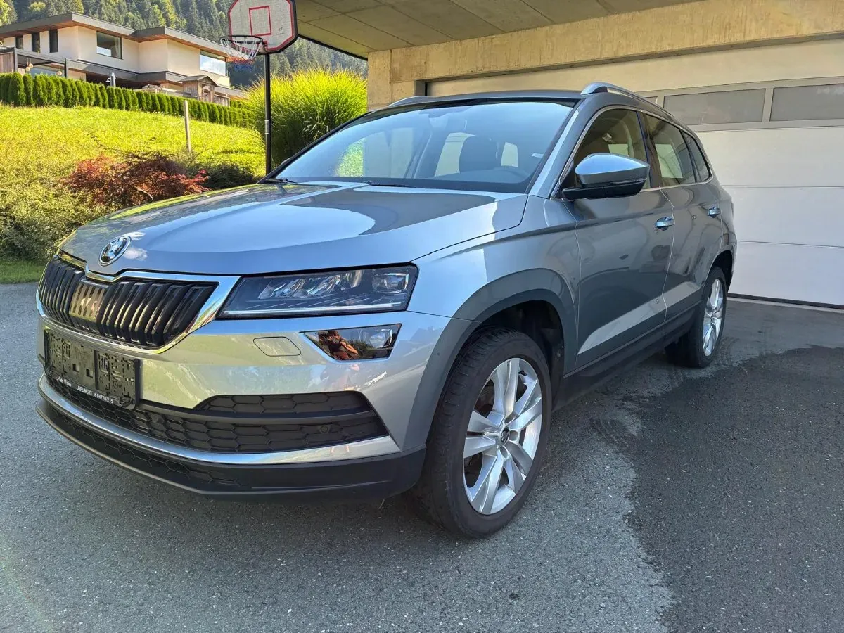 Skoda Karoq 2020 photo 2