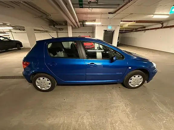 Peugeot 307 2005 photo 3