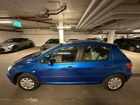 Peugeot 307 2005 photo 5