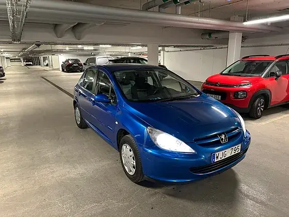 Peugeot 307 2005 photo 2