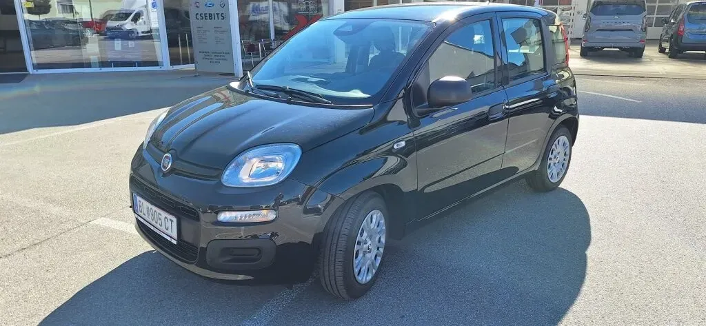 Fiat Pandina