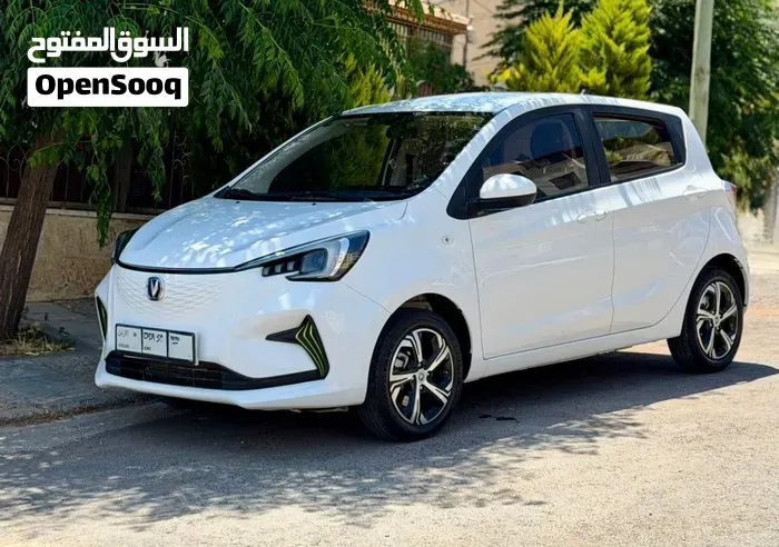 Changan E-Star 2022 photo 3