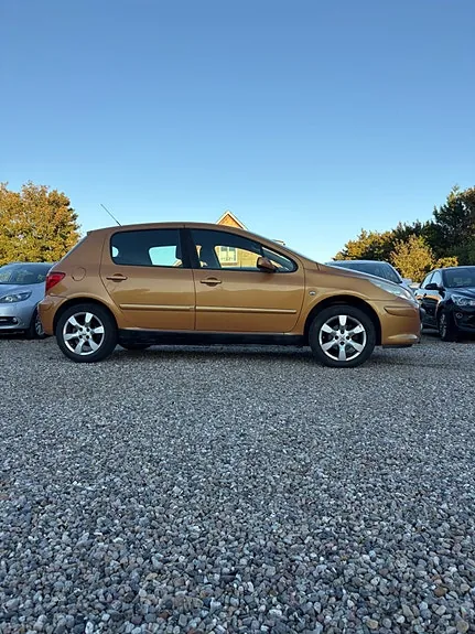 Peugeot 307 2006 photo 4