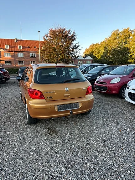 Peugeot 307 2006 photo 2