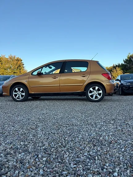 Peugeot 307 2006 photo 3