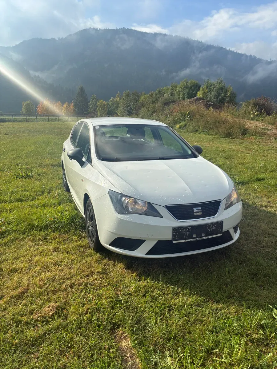Seat Ibiza 2014 photo 2