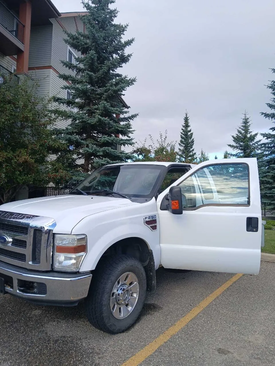 Ford F250 2008 photo 3
