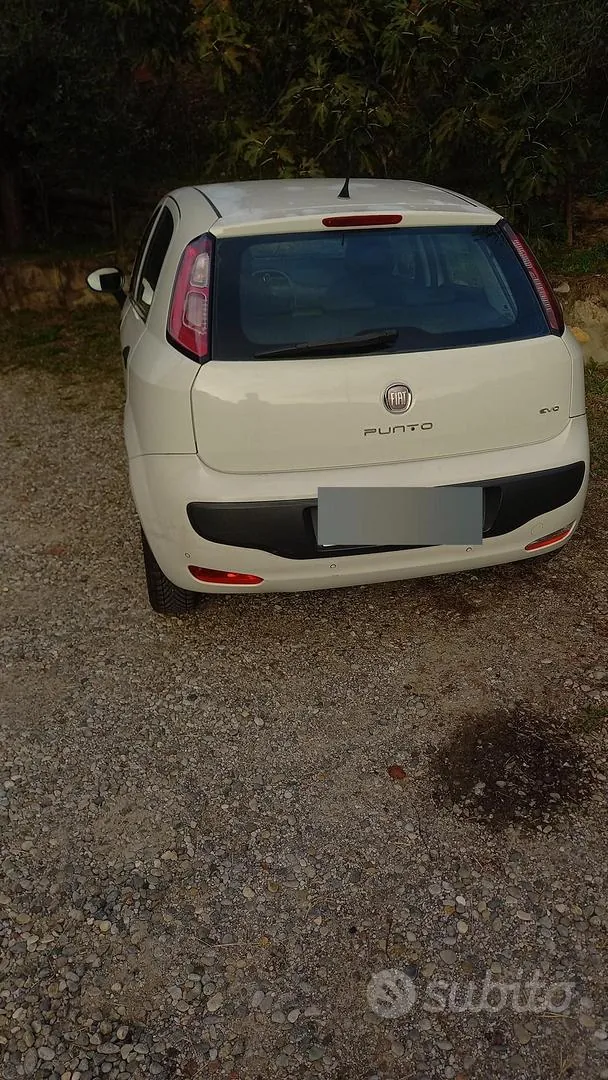 Fiat Punto Evo 2011 photo 2