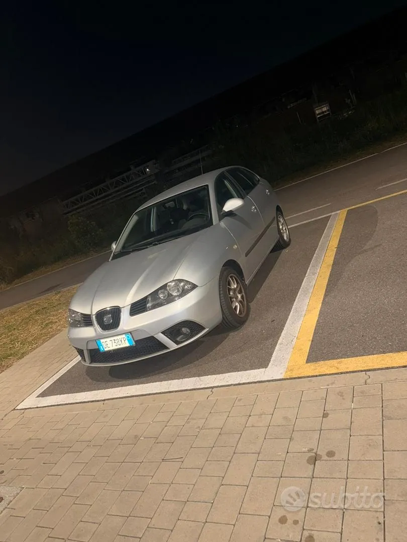 Seat Ibiza 2006 photo 3
