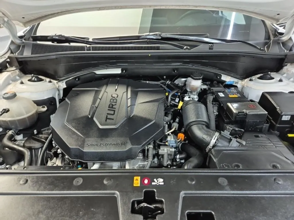 Hyundai Santa Fe 2021 photo 5