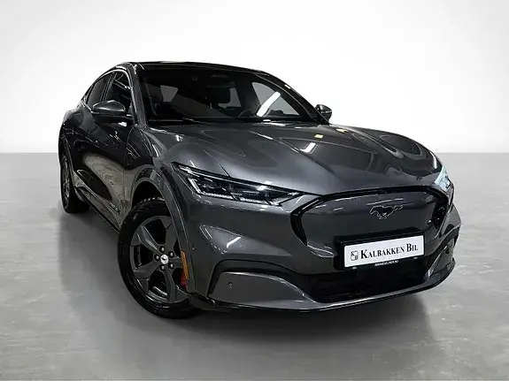 Ford Mustang Mach-E 2021 photo 4