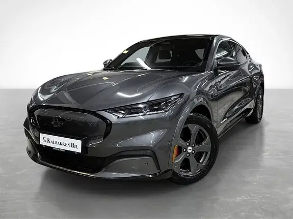 Ford Mustang Mach-E 2021 photo 2