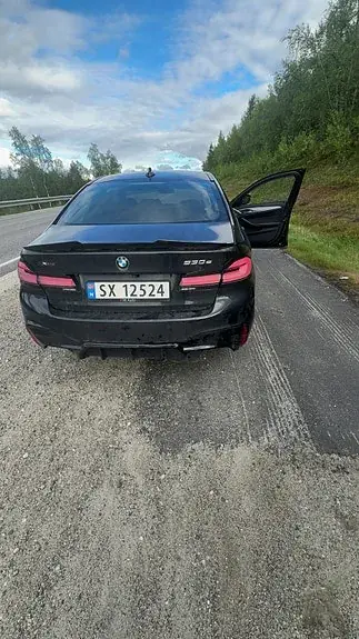 BMW 530E 2020 photo 3