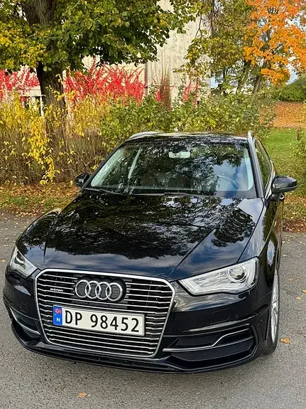 Audi E-Tron 2016 photo 2