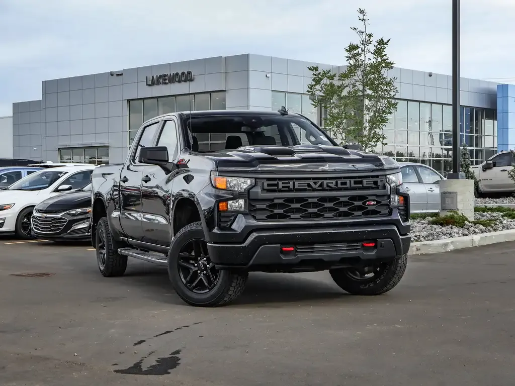 Chevrolet Silverado 1500 2024 photo 2