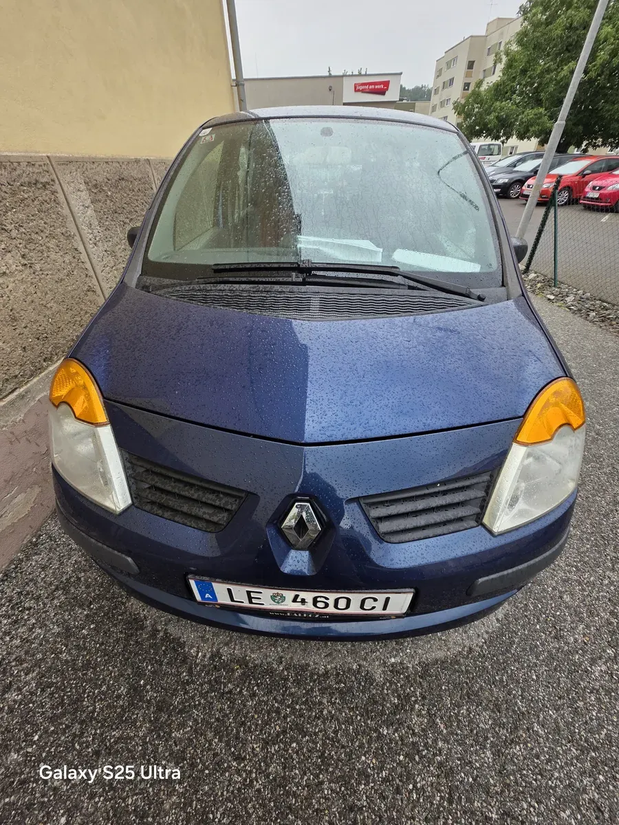 Renault Sonstige