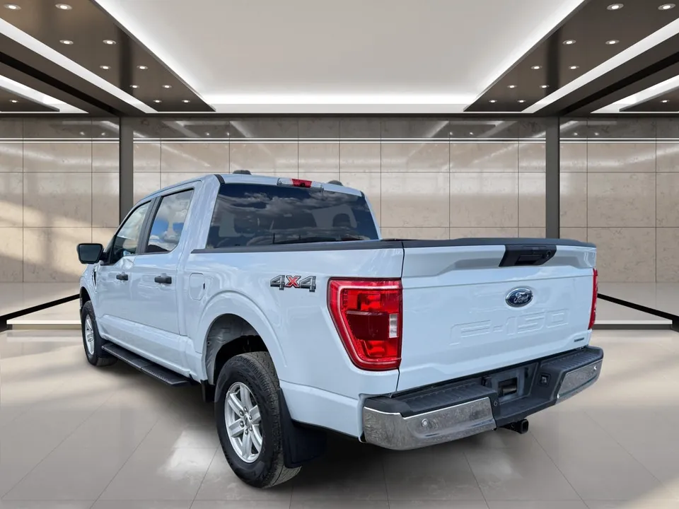 Ford F-150 2021 photo 4