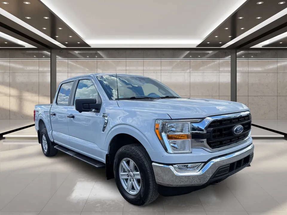 Ford F-150 2021 photo 2