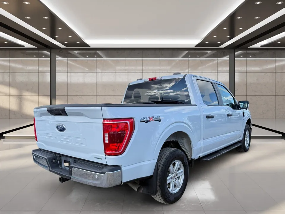 Ford F-150 2021 photo 3