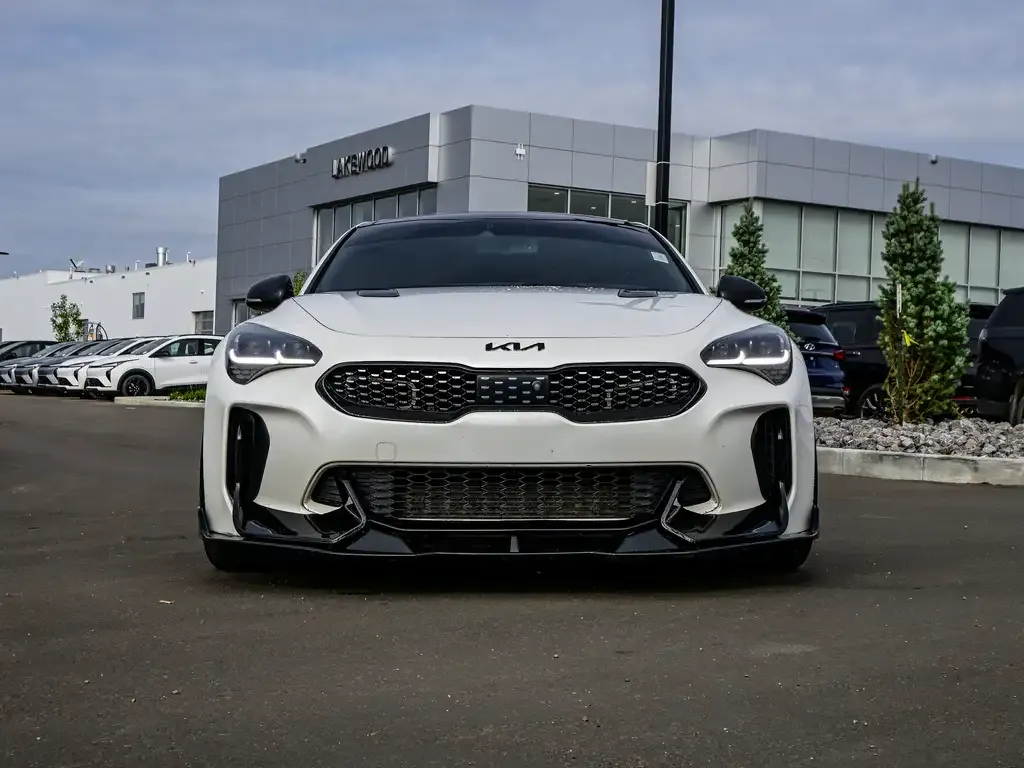 Kia Stinger 2019 photo 3
