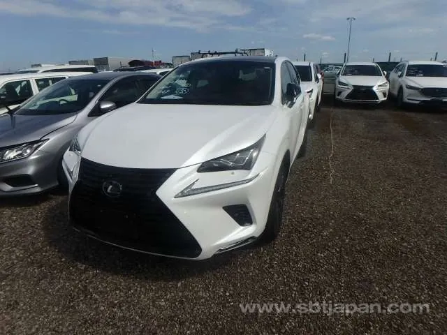 Lexus Nx 2019 photo 2