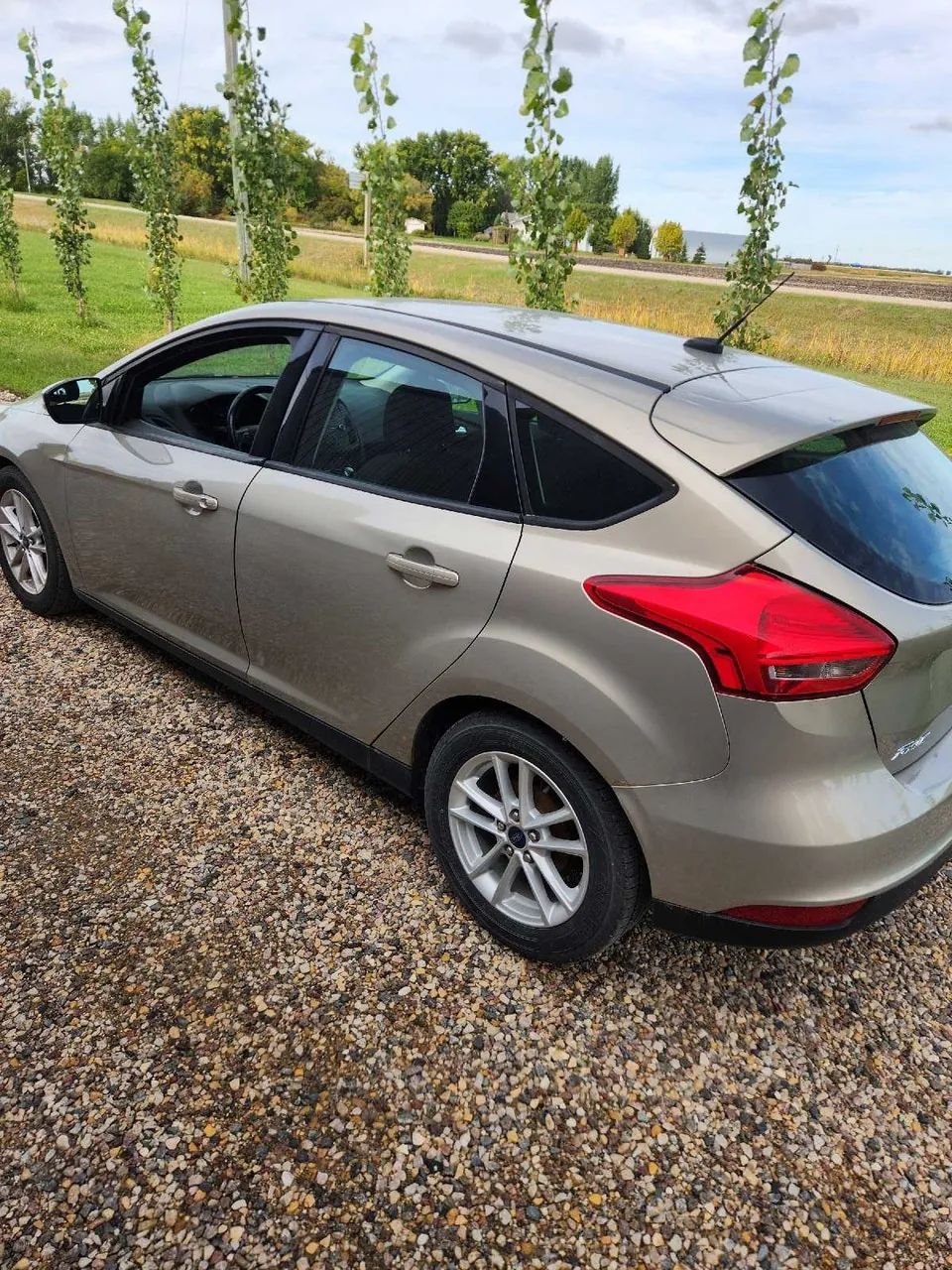 Ford Focus 2015 photo 2