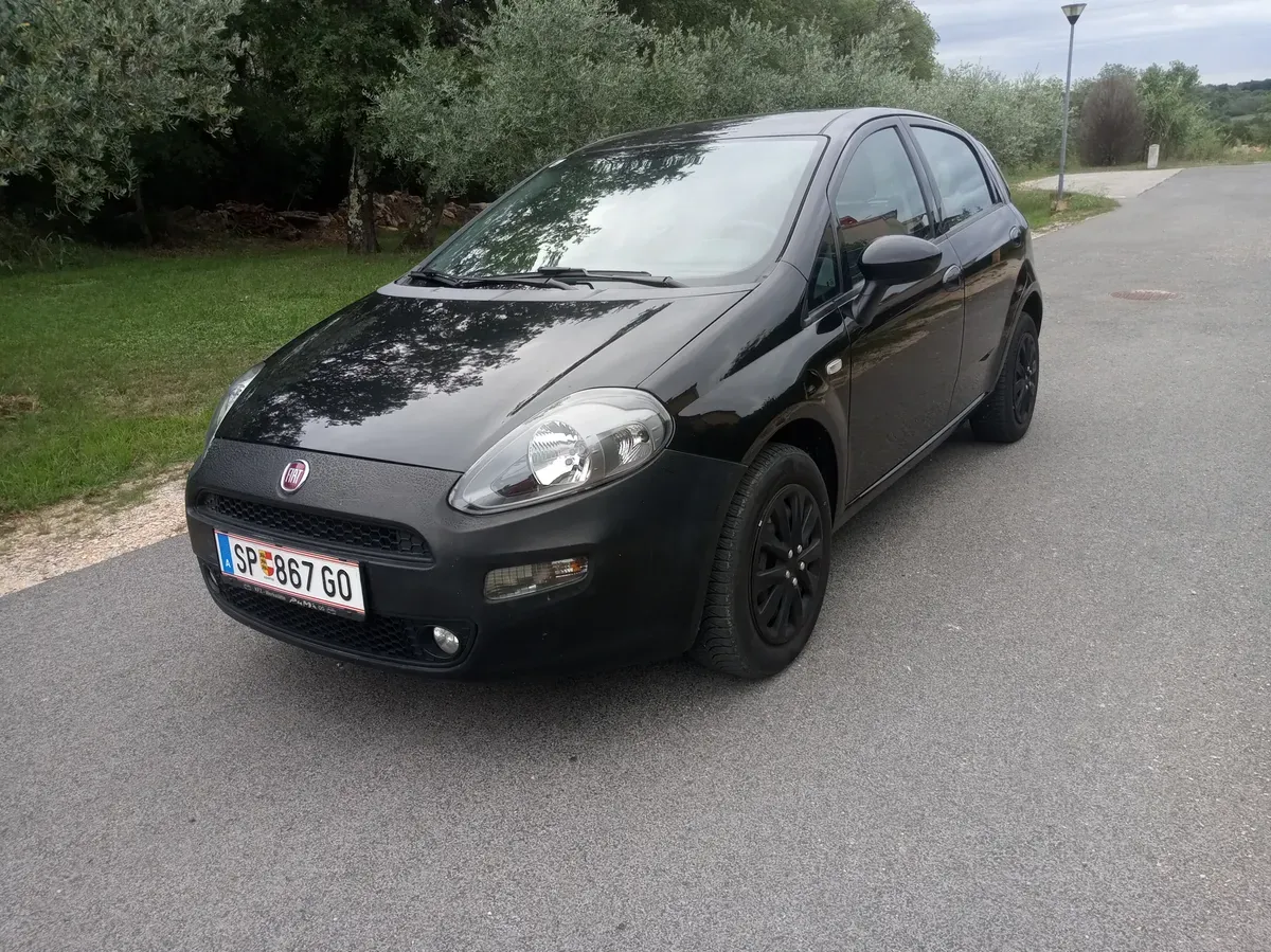 Fiat Punto 2012 photo 2