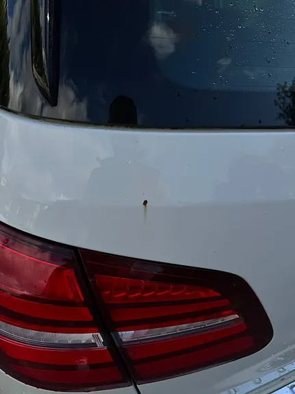 Mercedes-Benz B-Class 2015 photo 5