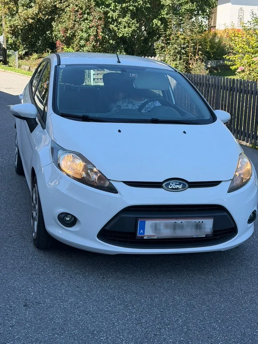 Ford Fiesta 2010 photo 3