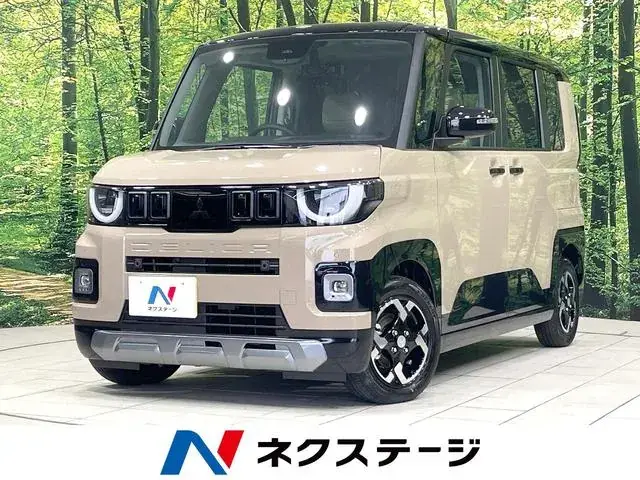 Mitsubishi Delica Mi