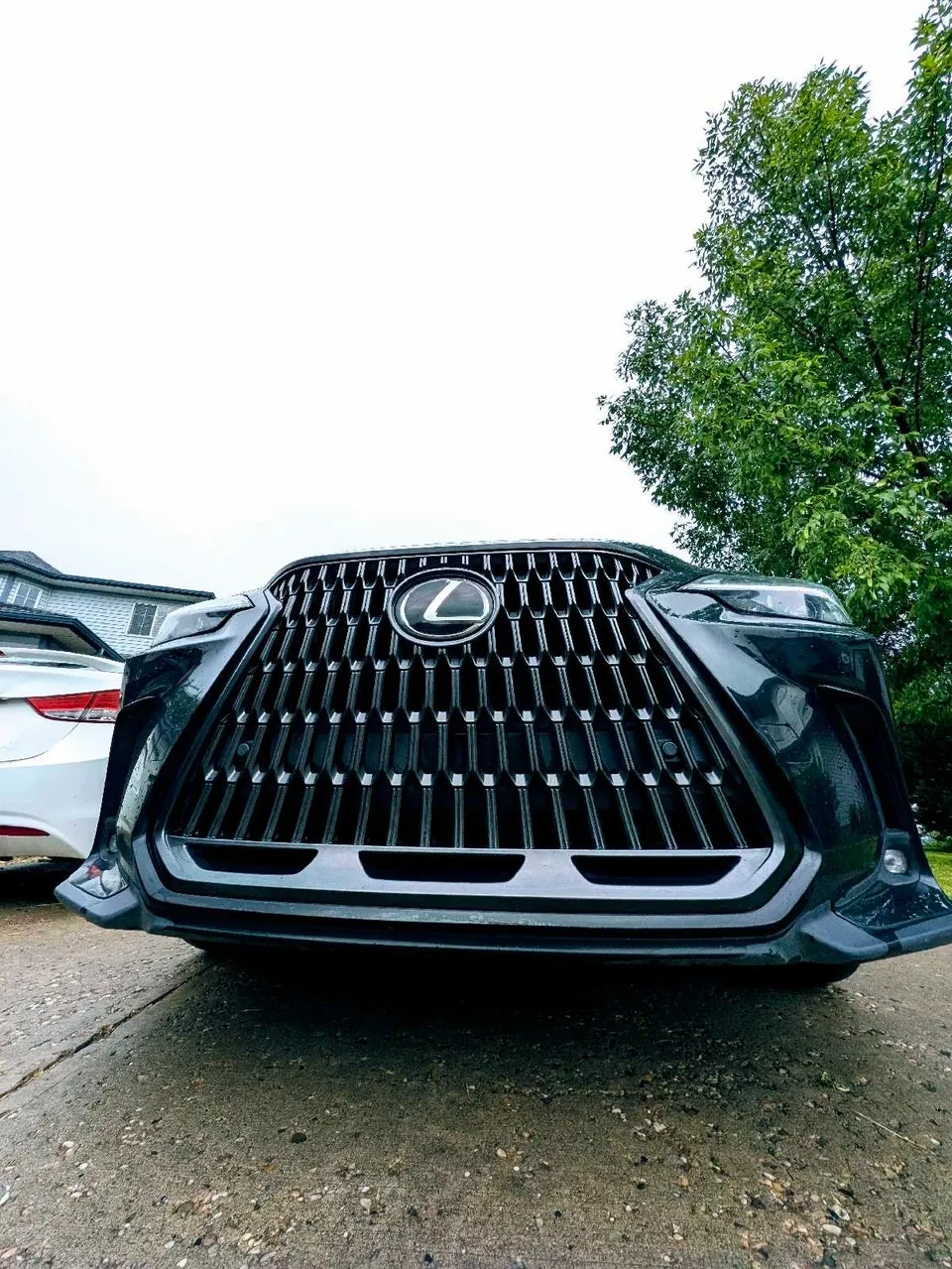 Lexus Nx 350 2024 photo 2