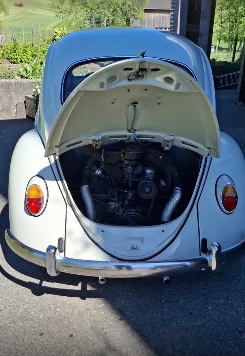 Volkswagen Käfer