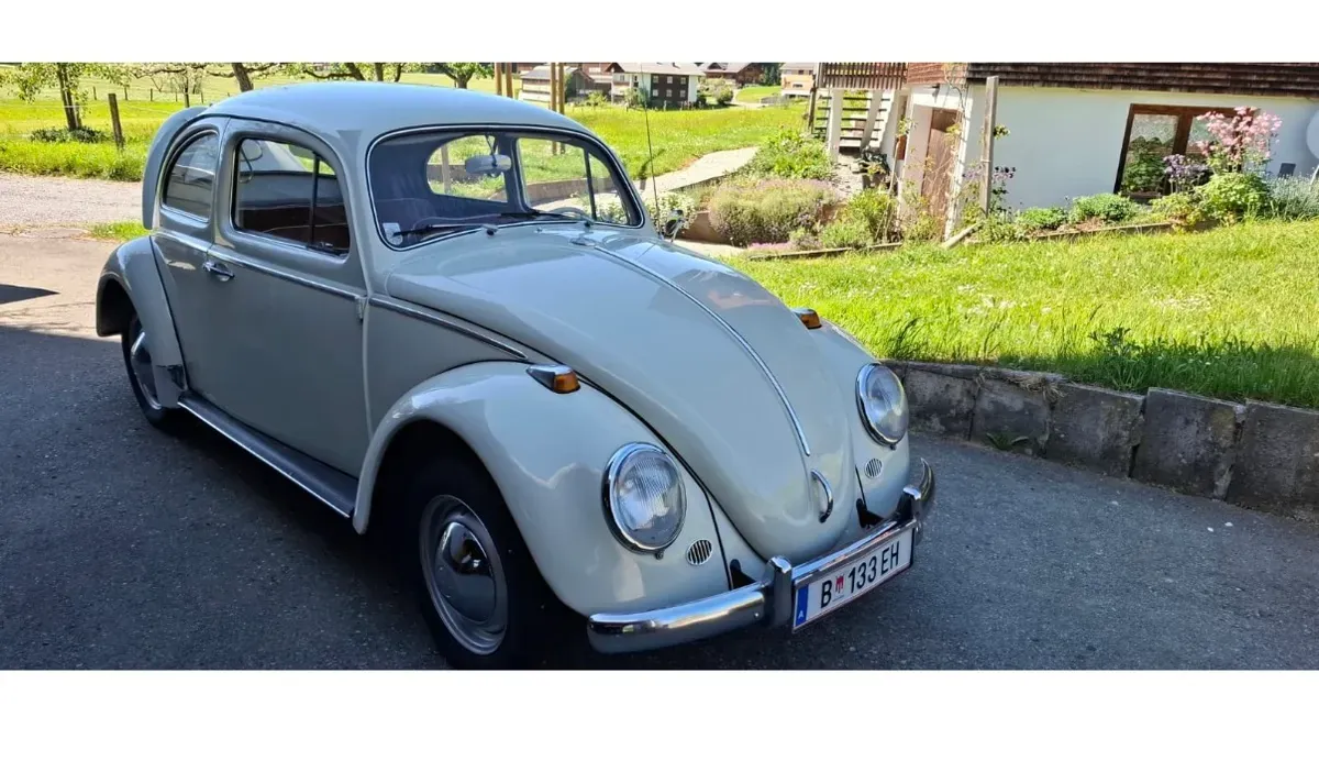 Volkswagen Käfer 1964 photo 2