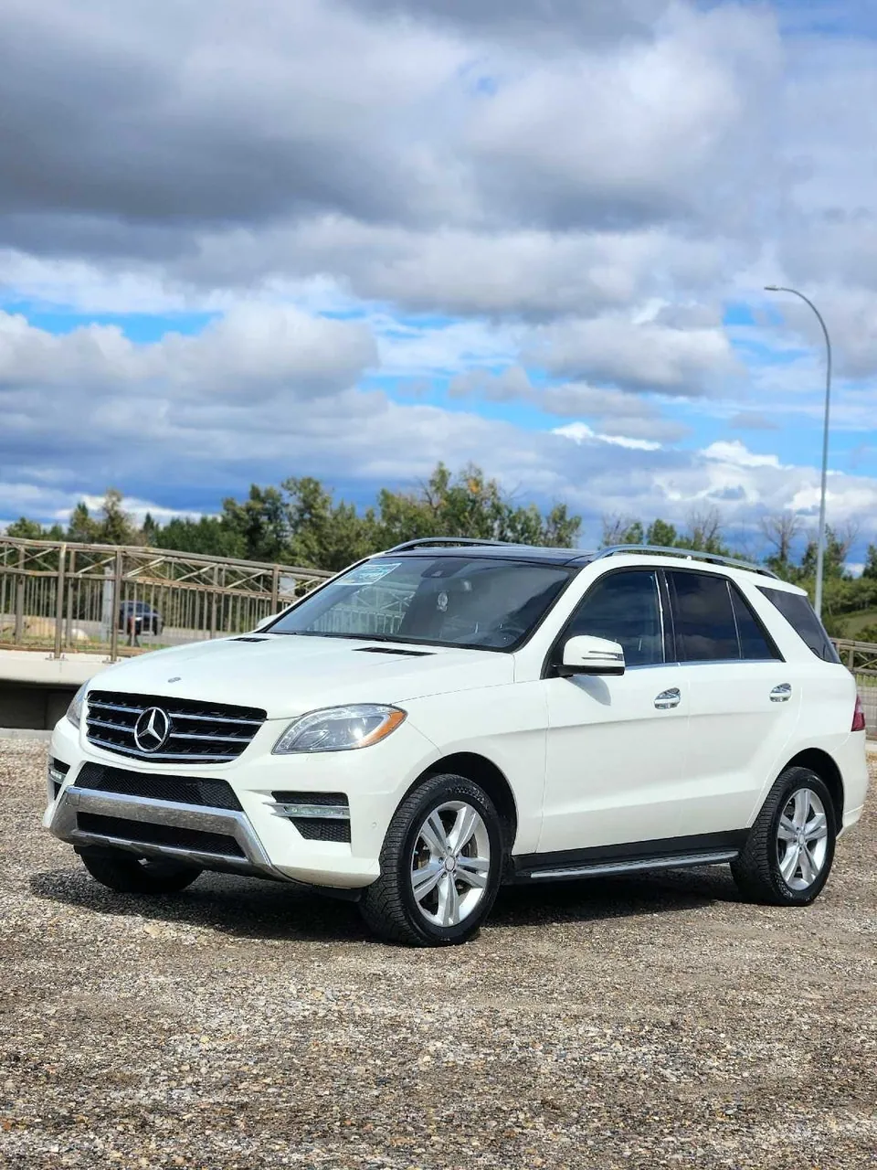 Mercedes-Benz Ml350 Bluetec 2013 photo 2