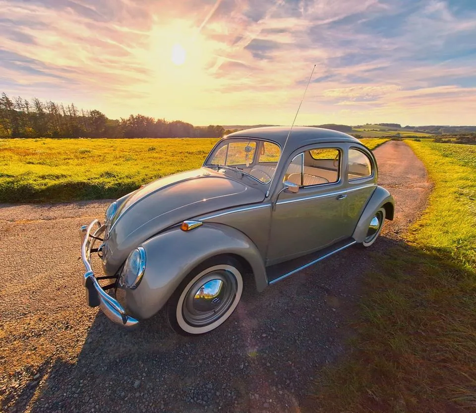 Volkswagen Käfer