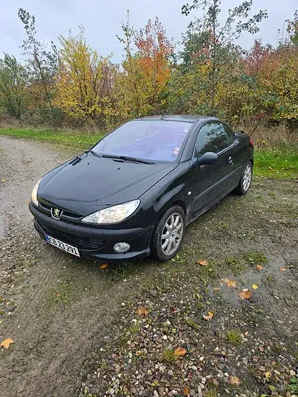 Peugeot 206 2001 photo 2