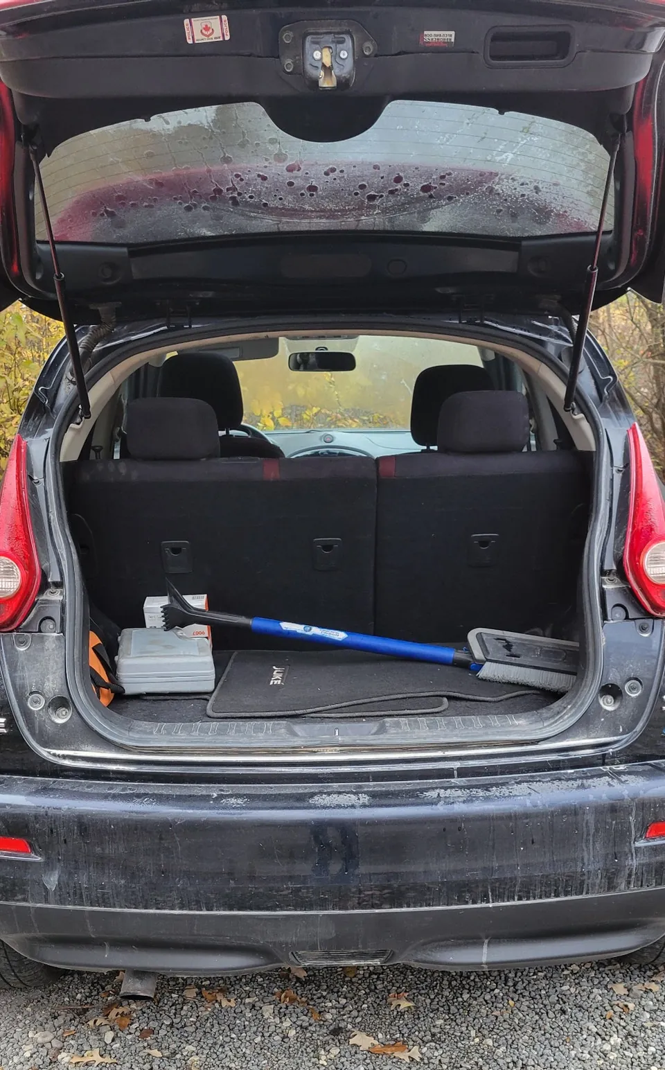 Nissan Juke 2011 photo 4