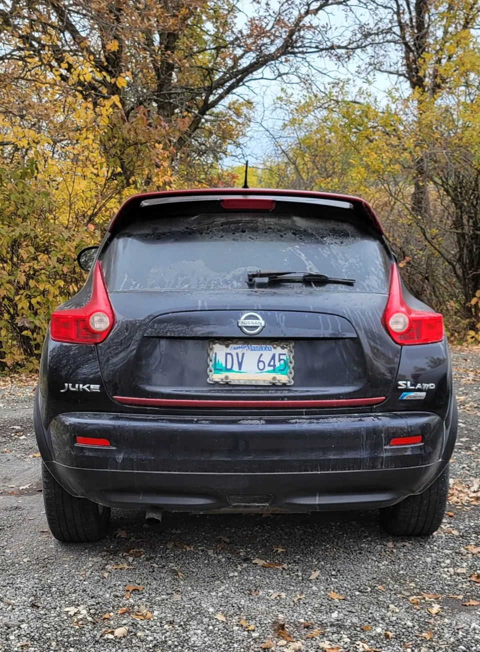 Nissan Juke 2011 photo 3