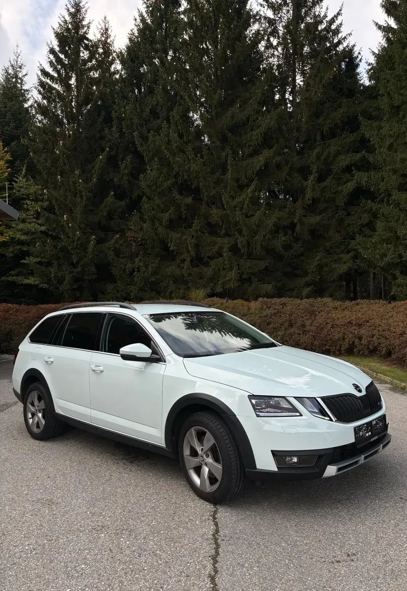 Skoda Octavia 2017 photo 3