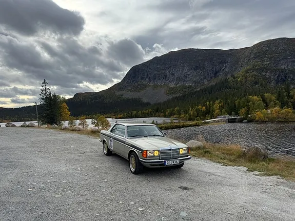Mercedes-Benz 230 1980 photo 3