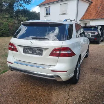 Mercedes-Benz Ml 250 2013 photo 3