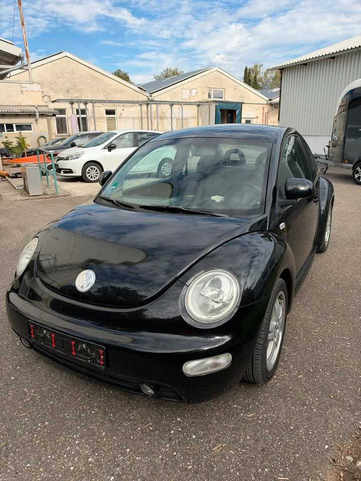 Volkswagen New Beetle