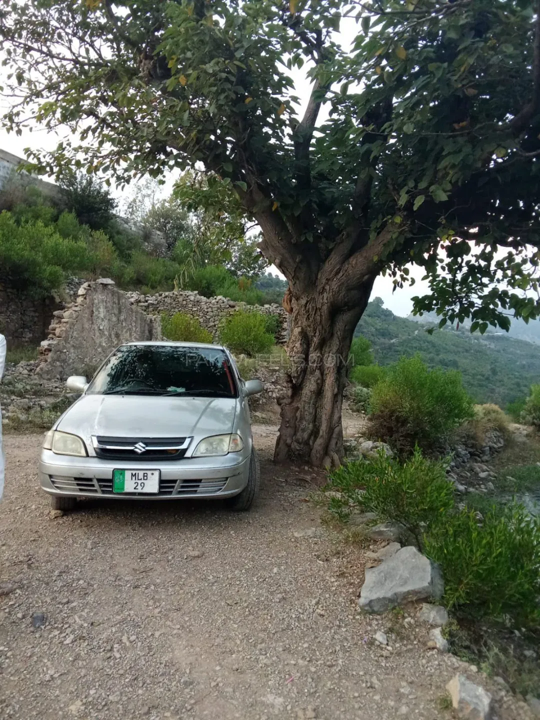 Suzuki Cultus